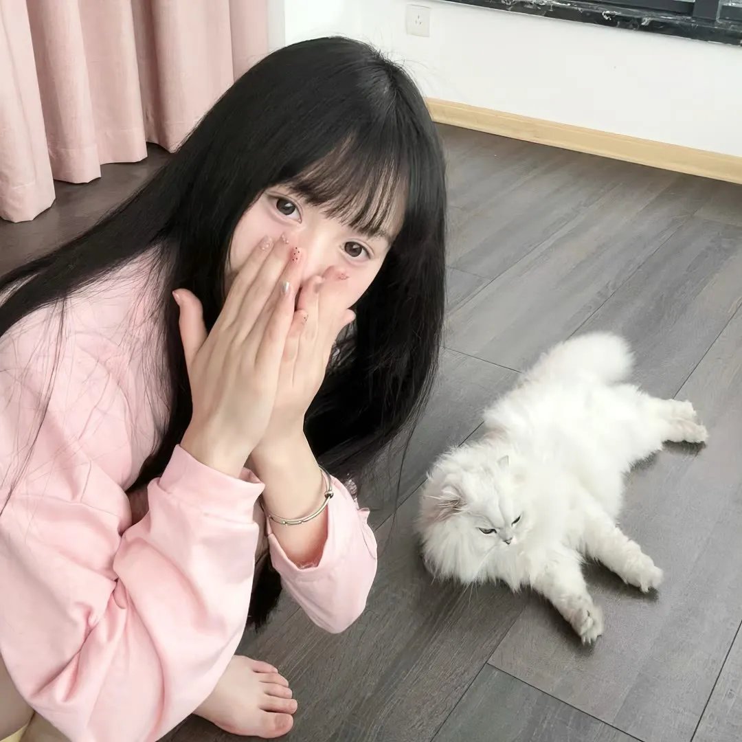 画室春光
